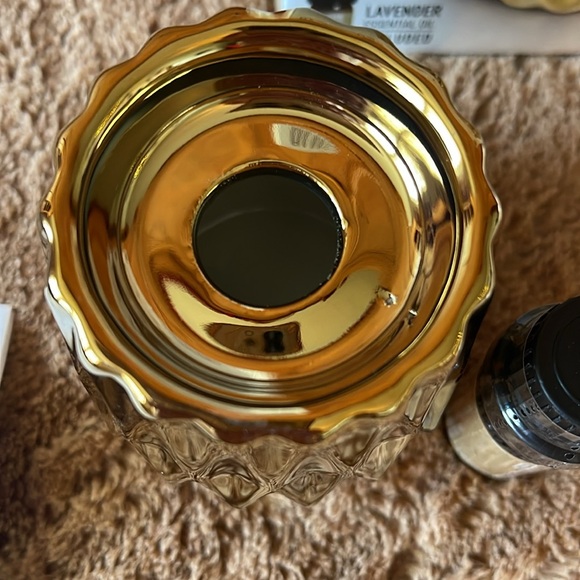 Bluzen Succulent Stone Diffuser. Beautiful gold and white. Ceramic rope wicker. - Picture 6 of 12